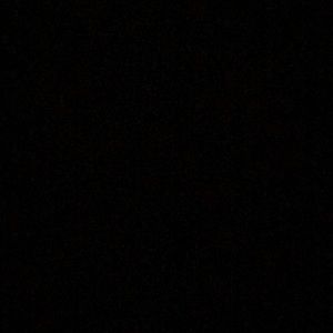 Meet your Posher, Jackson