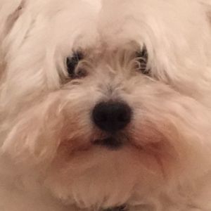 Meet your Posher, Jaclyn