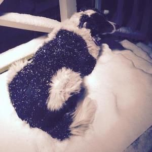 Meet your Posher, Cheryl