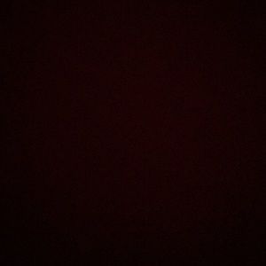 Meet your Posher, Logan