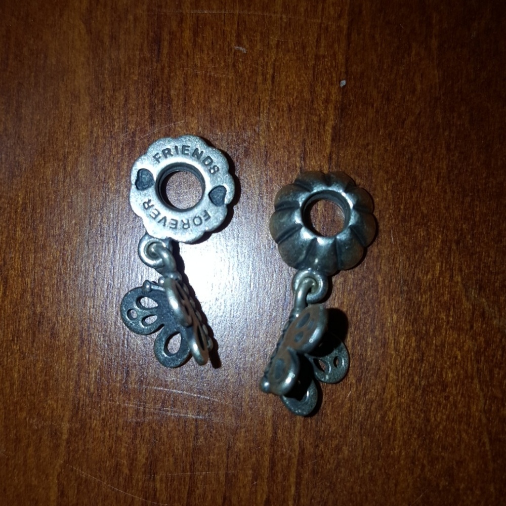 Pandora Charms