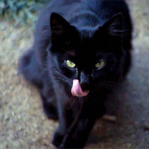 Meet your Posher, Jan