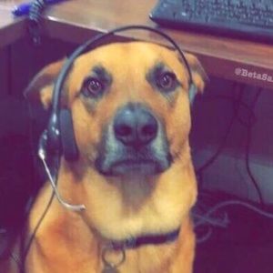 Meet your Posher, Conlan