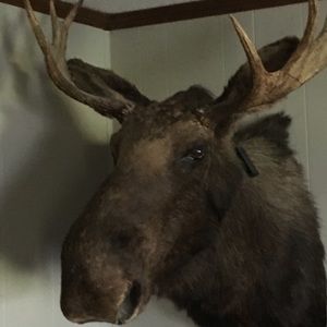 Meet your Posher, Jeff