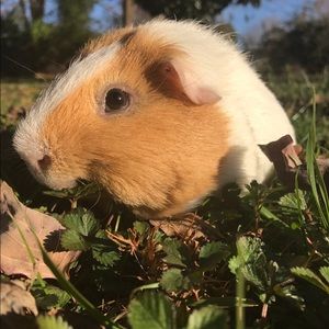 Meet your Posher, Melanie