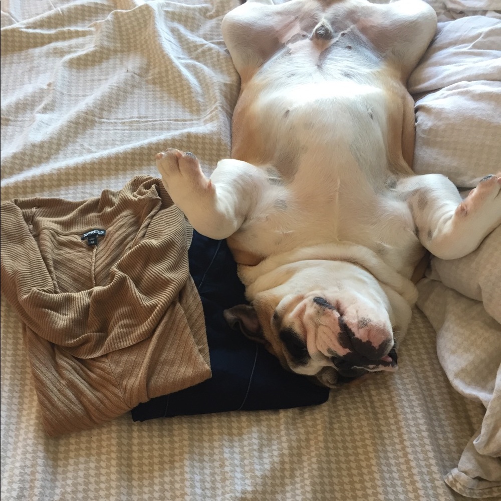 Michael Kors Jegging