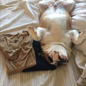 Michael Kors Jegging