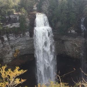 Meet your Posher, Jake