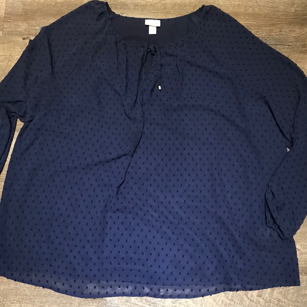 Ava & Viv Blue Blouse