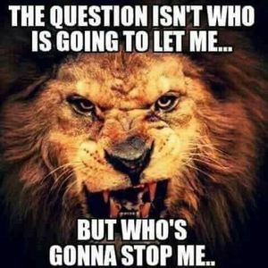 Meet your Posher, Tony