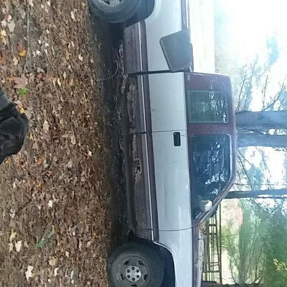 Meet your Posher, Sebastian - Picture 1 of 1