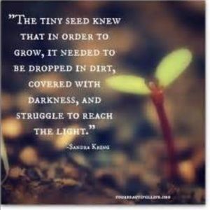 Meet your Posher, Iris