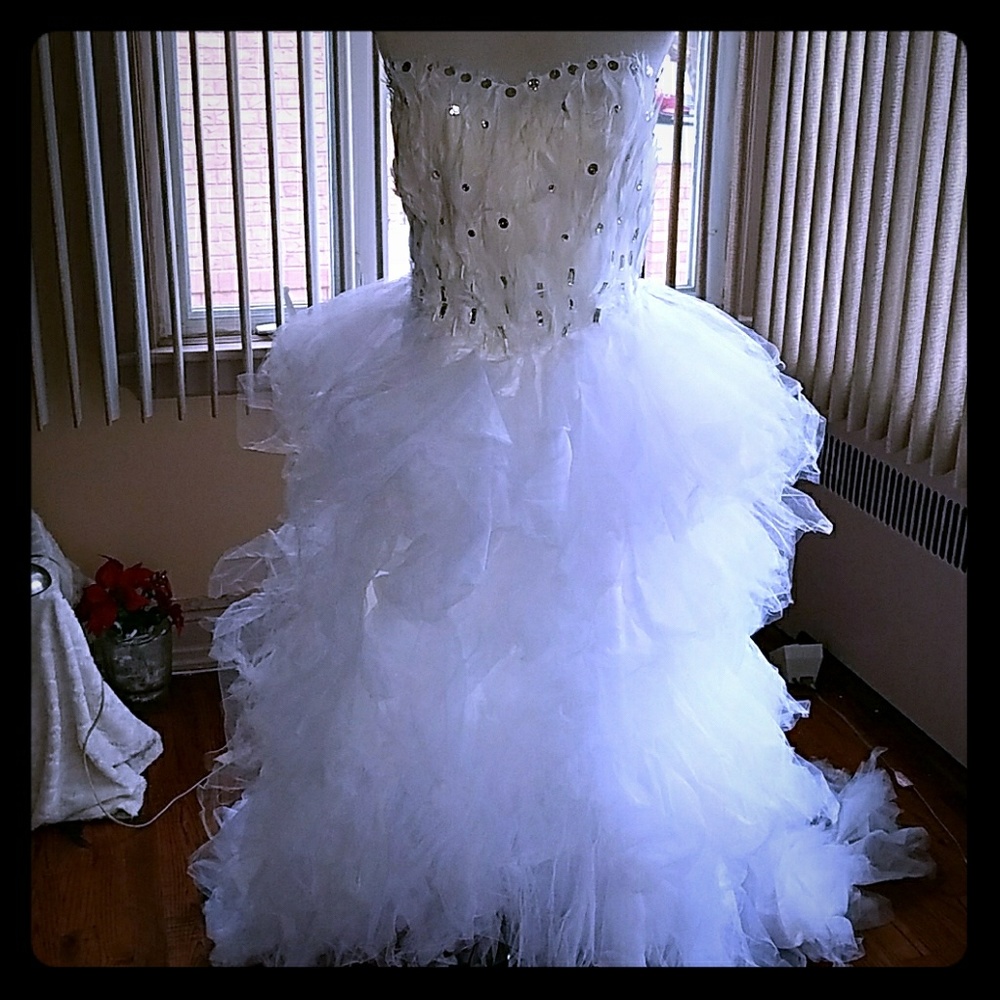 Unique Hi-Lo Feather Tulle & Rhinestone Dress