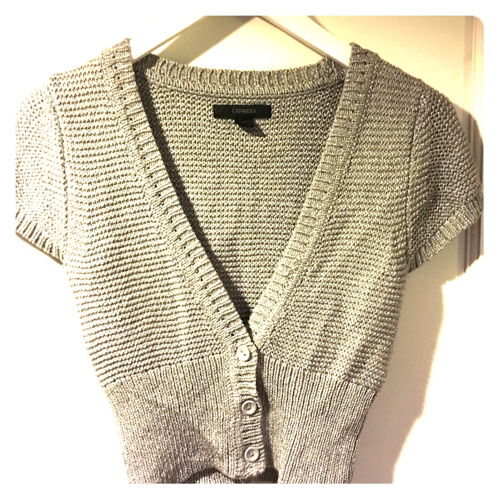 Express Cropped Sweater