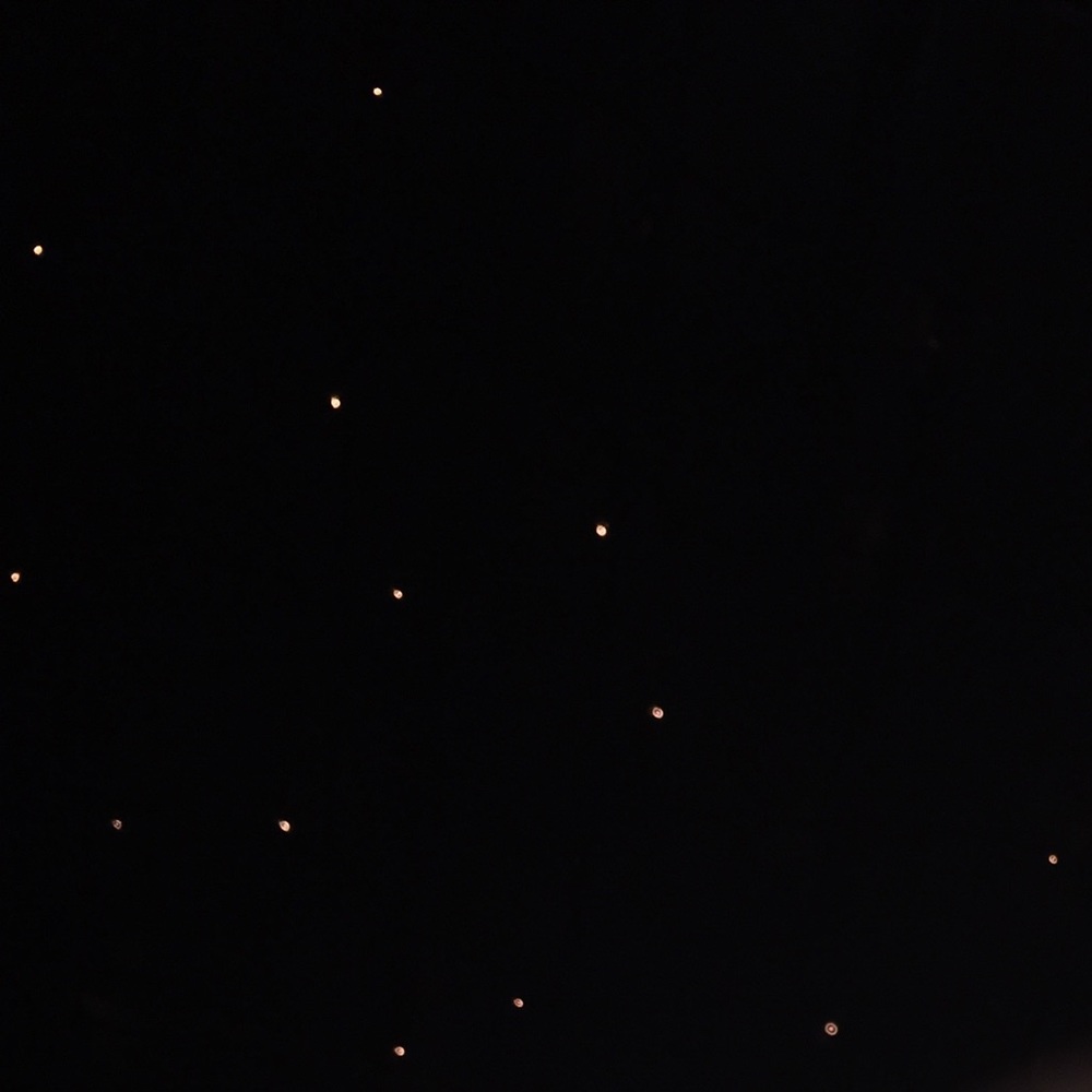 Meet your Posher, Ava