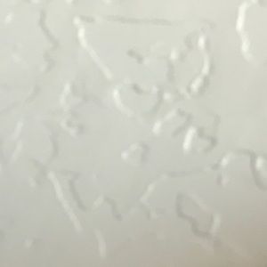 Meet your Posher, Bailee