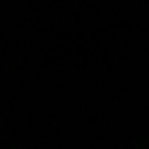 Meet your Posher, Jack