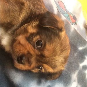 Meet your Posher, Fatima