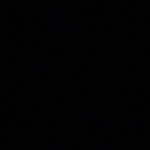 Meet your Posher, Jackson