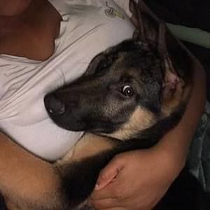 Meet your Posher, Assata