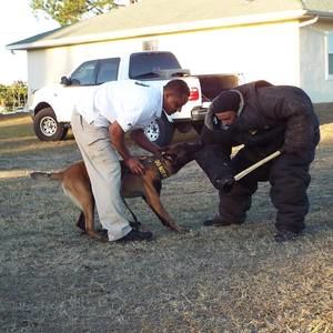 Meet your Posher, Rodolfo