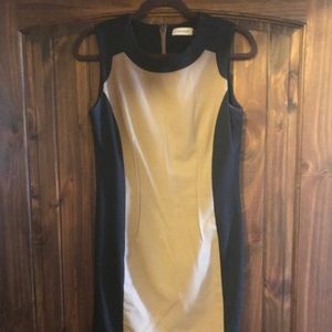 Black and Tan Silhouette Dress