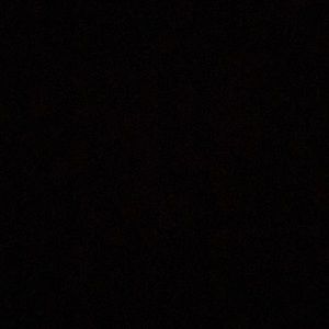 Meet your Posher, Alissa