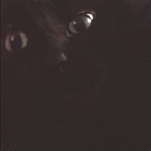 Meet your Posher, Katelyn