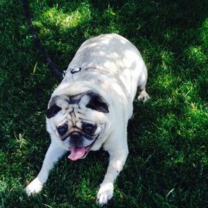 Meet your Posher, Anna