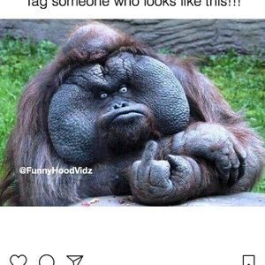 Meet your Posher, Brad