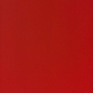 Meet your Posher, Lakeisha