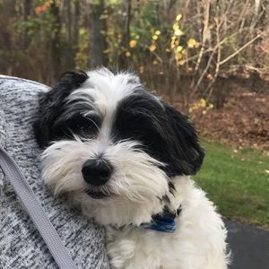 Meet your Posher, Maegan