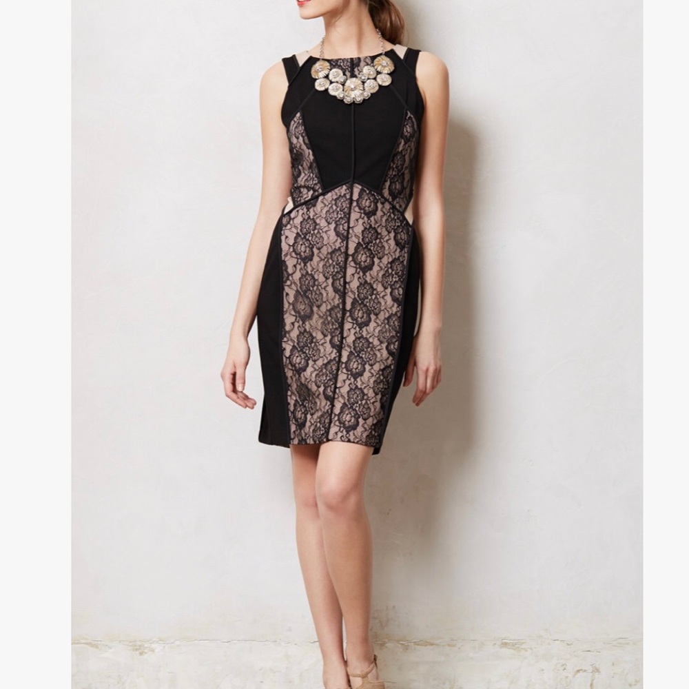 Anthropologie Lace paneled dress (Maeve)