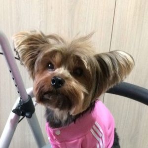 Meet your Posher, Fatima