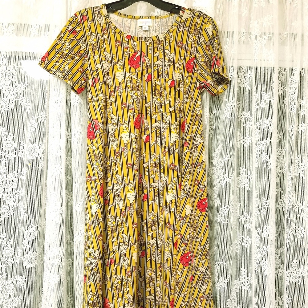 Lularoe Gold Striped Floral Rose Carly XXS