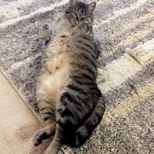 Meet your Posher, Nicole