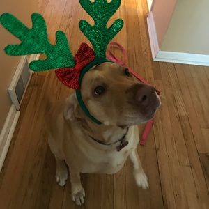 Meet your Posher, Lana