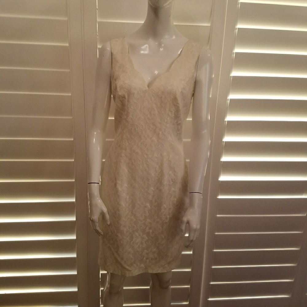 Simple and Elegant Lace Dress
