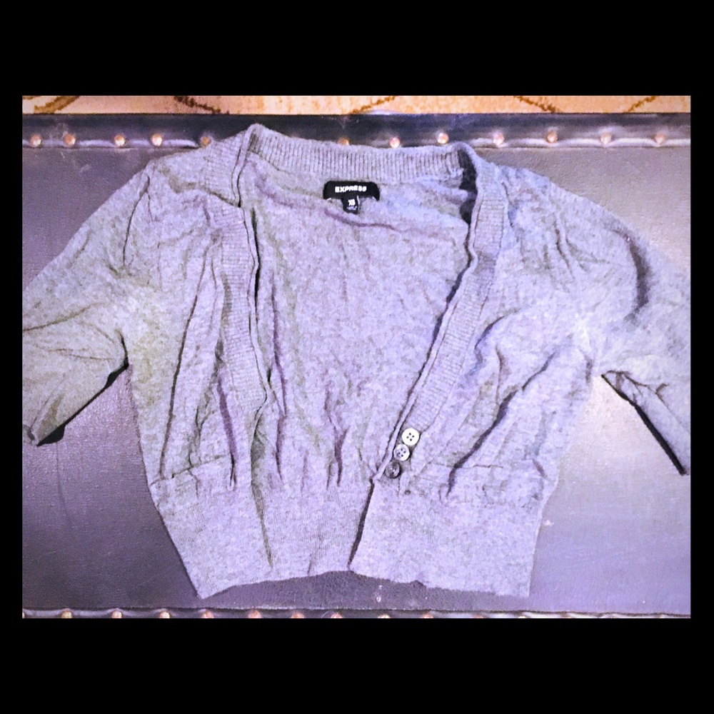 Express Cropped Sweater
