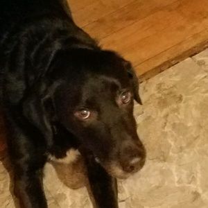 Meet your Posher, Ethan