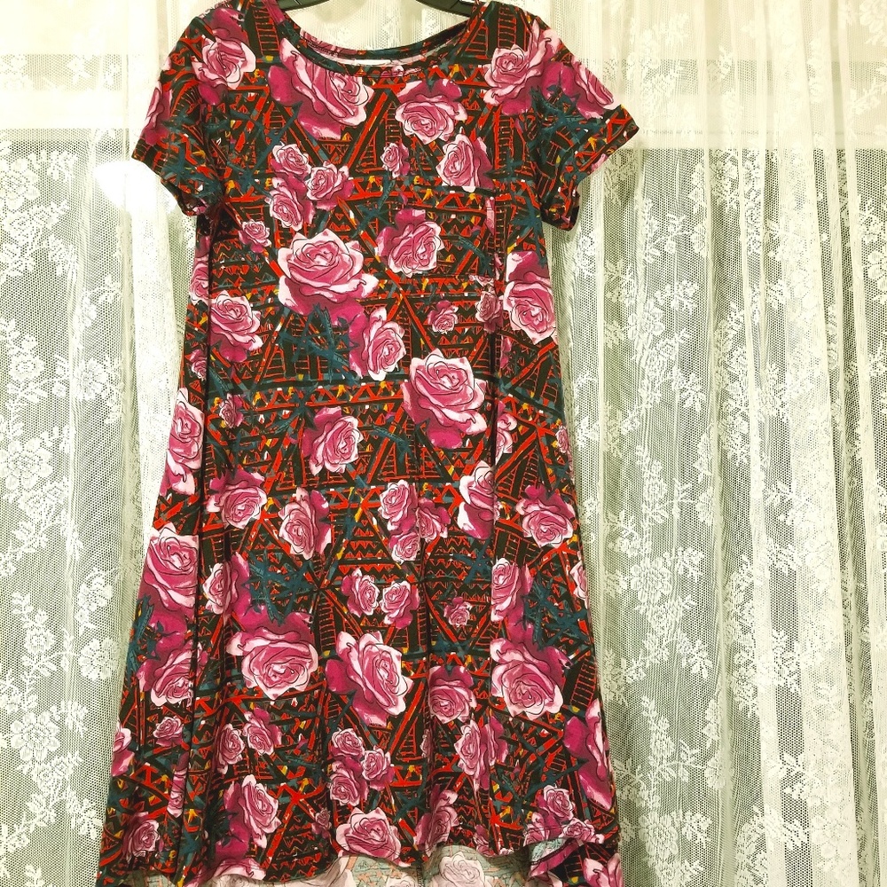 Lularoe Pink and Purple Rose on Aztec Carly XS?