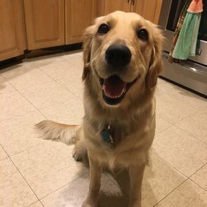 Meet your Posher, Kelli