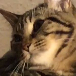 Meet your Posher, Kirsten