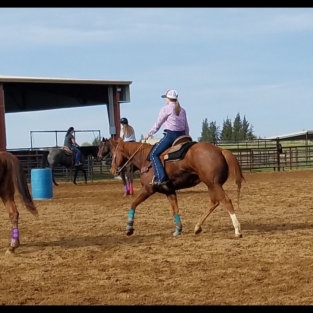 Meet your Posher, Taylor