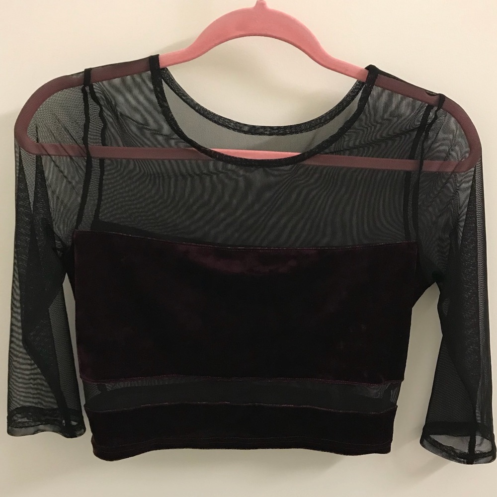 Urban Outfitters Dark Red Velvet Sheer Crop Top