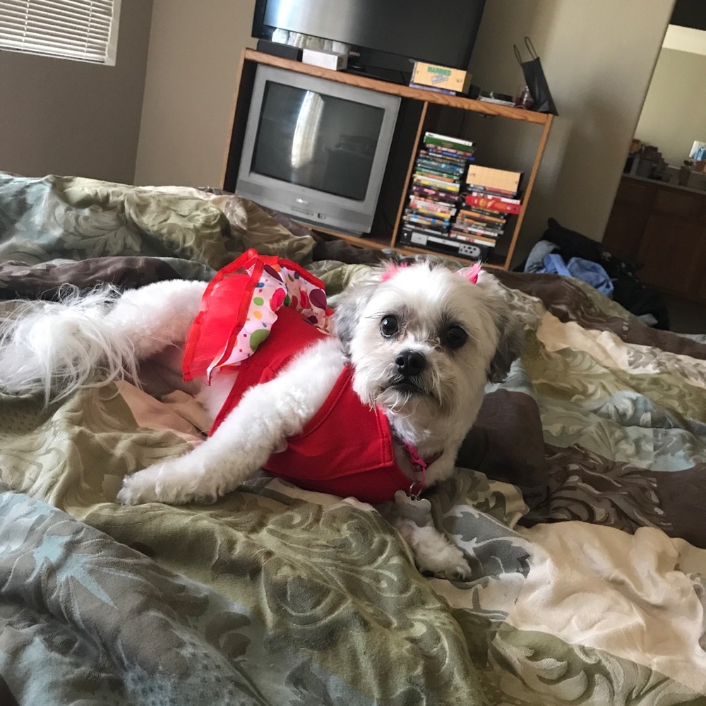 Meet your Posher, Curtis