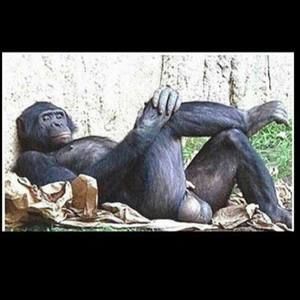 Meet your Posher, Mo