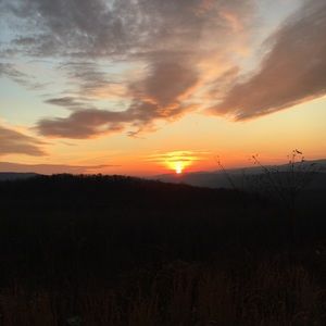 Meet your Posher, Dylan