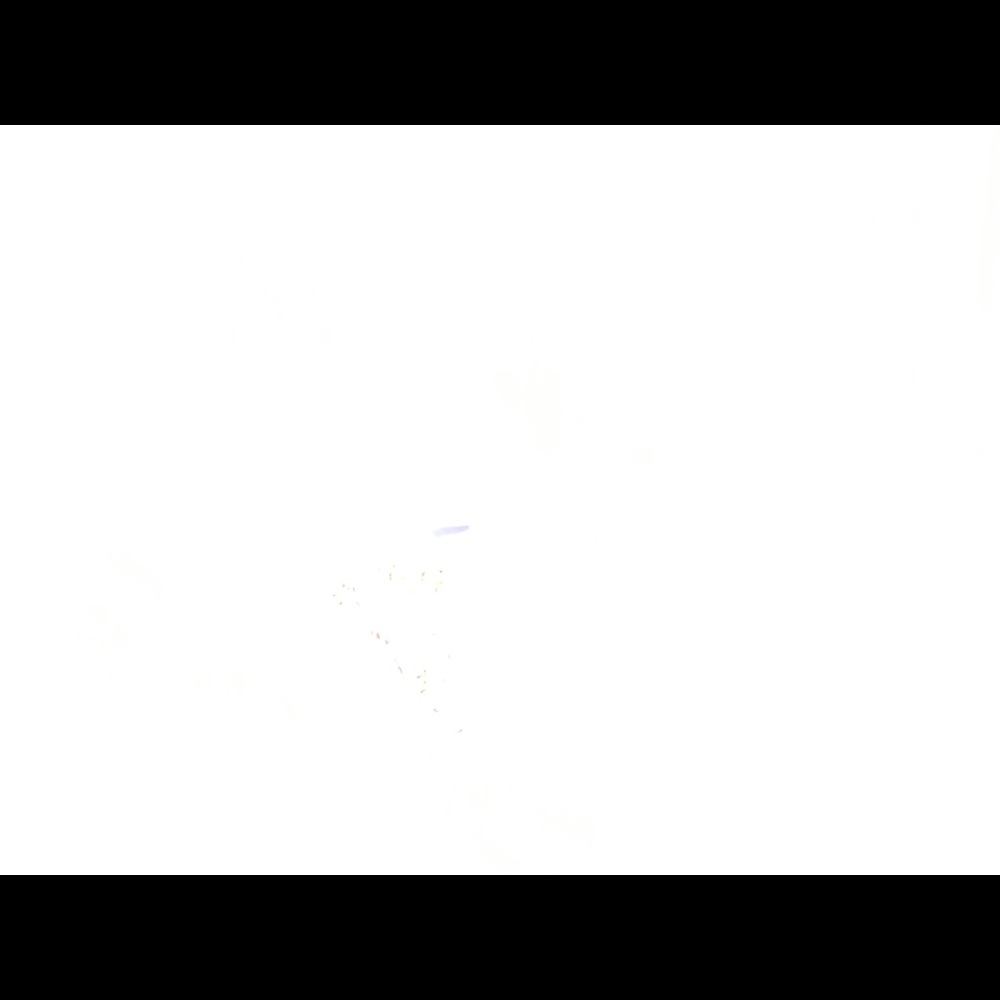 Meet your Posher, Aidan