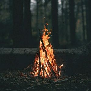 Meet your Posher, Eli